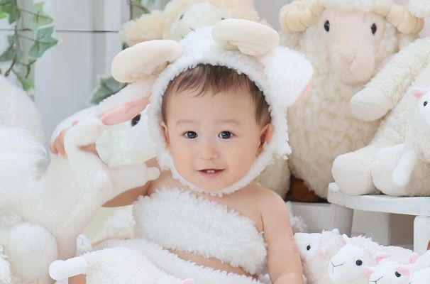 ふわもこひつじ撮影会